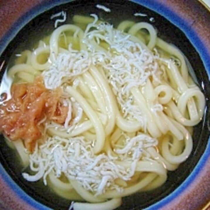 100円の冷凍うどんを美味しくアレンジ